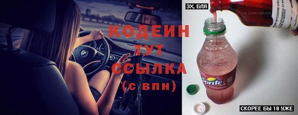 дмт Горняк