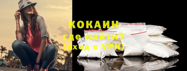 дмт Горняк
