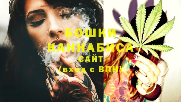 дмт Горняк