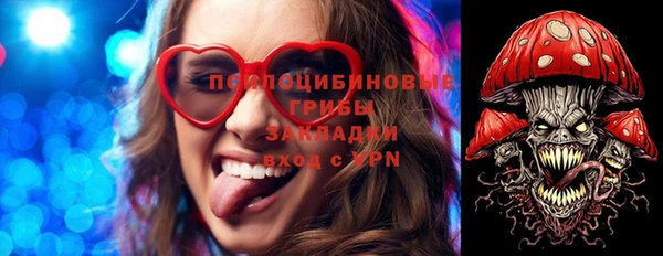дмт Горняк