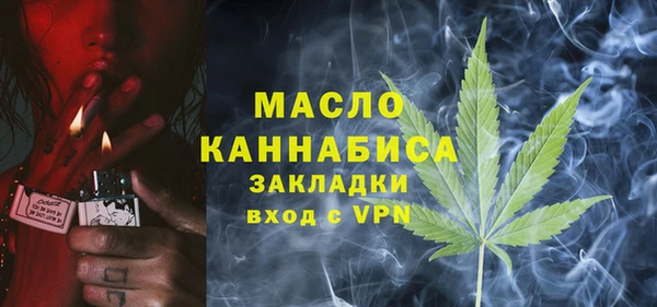 дмт Горняк