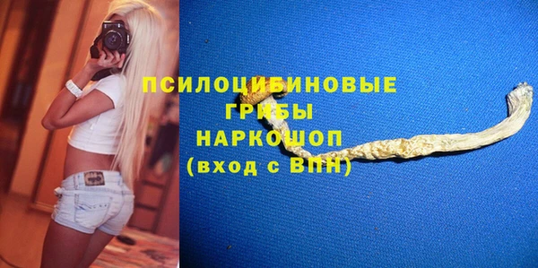 бошки Горнозаводск