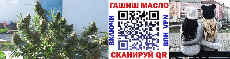 ТГК гашишное масло  где можно купить   Елец 